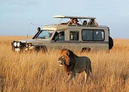Long Safaris